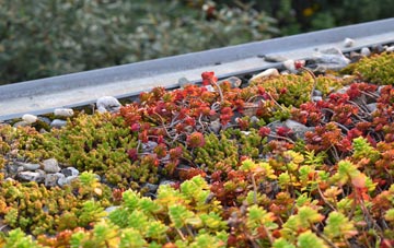 the cost of Kingston Bagpuize green roof installation