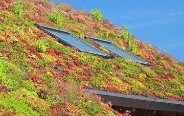 Kingston Bagpuize living roof systems
