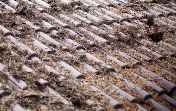 Kingston Bagpuize roof cleaning companies