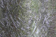 Kingston Bagpuize fibreglass roof work